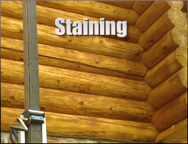  Norway,  South Carolina Log Home Staining